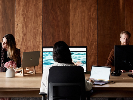 People working on laptops at a wooden desk with a wooden paneled wall.