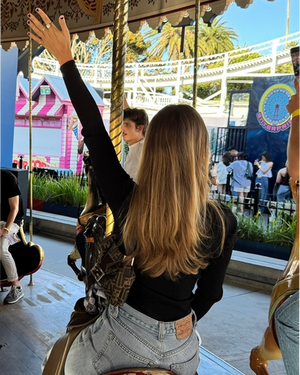 Person riding a carousel at an amusement park